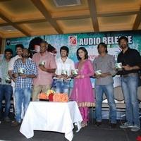 Anwar Movie Audio Function - Pictures | Picture 95866